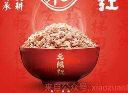元阳商城邀请9名好友关注送价值29.9元的500克农耕红米 免费实物 活动线报  第1张