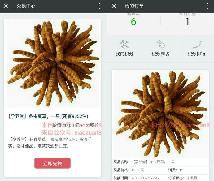 孕养堂邀请10名好友关注送价值40元的冬虫夏草免费包邮 免费实物 活动线报  第3张