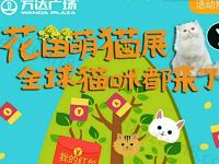 龙岩万达花田萌猫展摇一摇抽奖送1 100元微信红包 微信红包 活动线报  第1张
