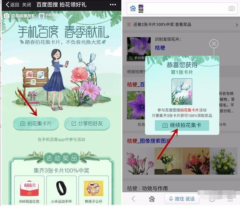 手机百度APP春季献礼拍花集卡送随机现金，话费红包 免费话费 免费流量 免费会员VIP 活动线报  第3张