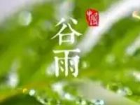 联通沃邮箱谷雨猜谜送1-50元联通话费