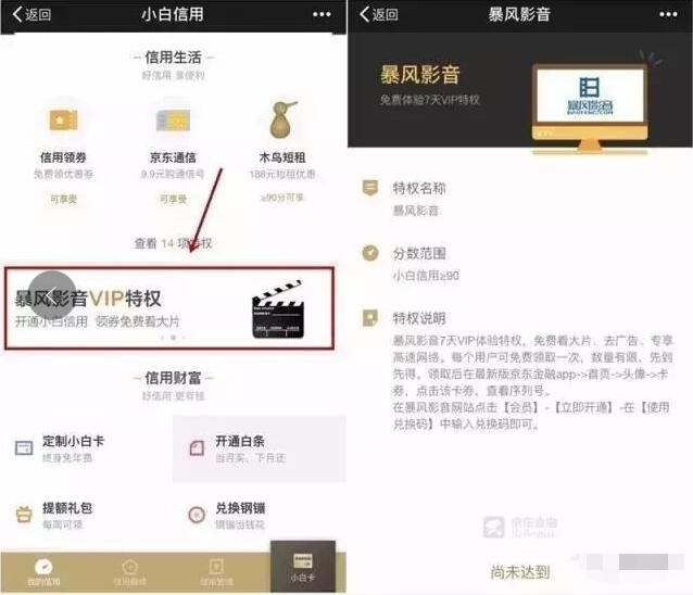 京东小白信用≥90即可领取7天暴风影音视频VIP会员 免费会员VIP 活动线报  第3张