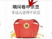 京东体闲文创主题调查问卷抽奖送2000京豆 京东 优惠福利  第1张