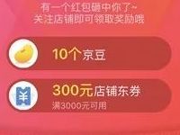 京东王牌会员日领福袋关注店铺送140京豆奖励 京东 优惠福利  第1张