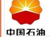 翼支付红包用户加油卡充值满100减5元每月1次 出行优惠券 优惠福利  第1张