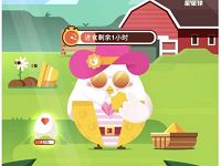 支付宝蚂蚁庄园送花呗红包随机支付宝红包