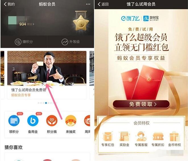 支付宝蚂蚁会员免费领取14天饿了么超级会员卡 外卖优惠券 活动线报  第2张