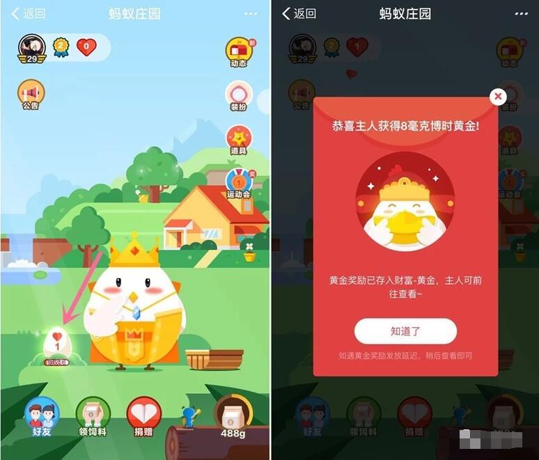 支付宝蚂蚁庄园换土豪金套装抽黄金红包非必中 支付宝红包 活动线报  第2张
