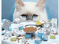 天猫猫粮超品饿了么专场领6-20元饿了么外卖红包