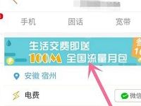 联通手机营业厅APP每月缴费送100M联通流量 免费流量 优惠福利  第1张