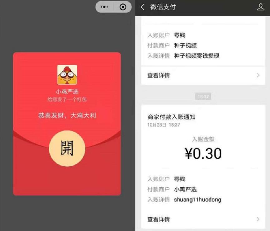 小鸡严选福利小程序新人送0.3元微信红包 微信红包 活动线报  第2张