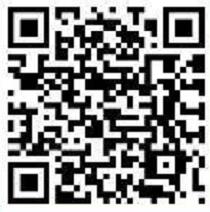 西柚资讯APP转发文章高单价0.5元，满5元提现 西柚资讯 西柚资讯APP 微信红包 活动线报  第2张