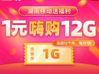 湖南移动1元嗨购12张1G移动流量月包 免费流量 活动线报  第1张