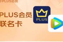 突发疑是bug价，京东Plus联名卡年卡128