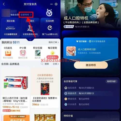 支付宝铂金会员特权，免费洗牙