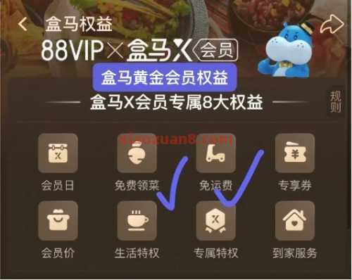 0.01撸盒马商品，盒马X会员免费领90天 88VIP 会员 盒马 淘宝 活动线报  第2张