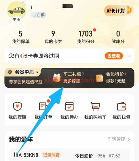 平安好车主每月礼包，电费券5-20元